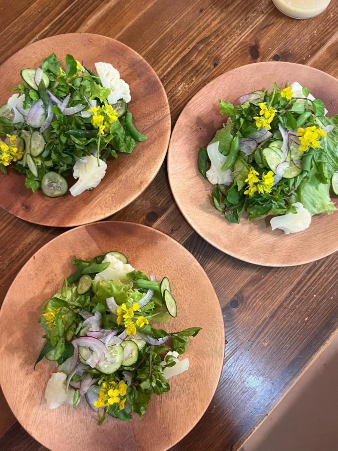 Vegetarian House Jamoo 호텔 야마나카코 외부 사진